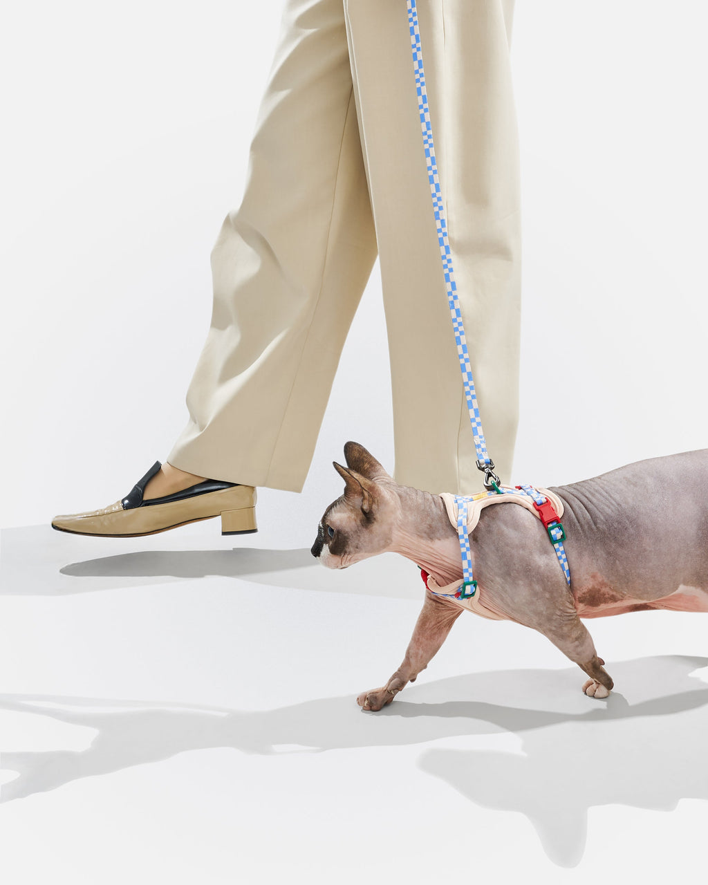Cat Harness & Leash