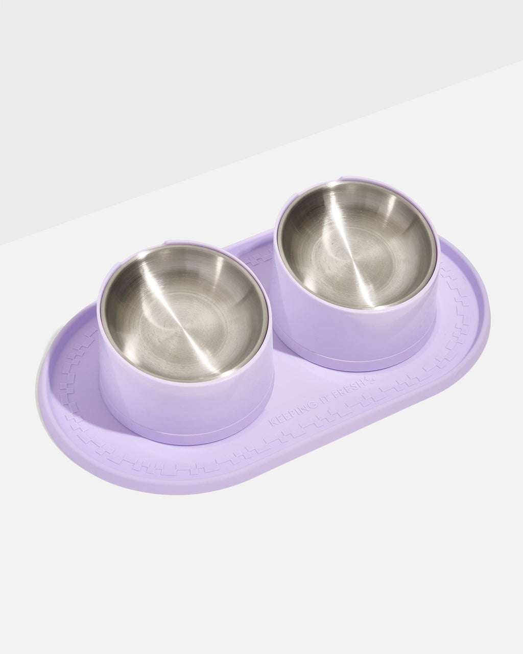 Cat Meal Kit