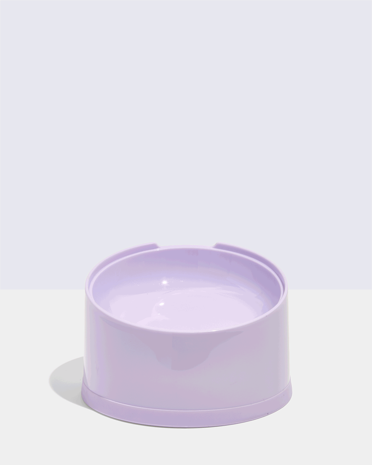 Slanted Cat Bowl