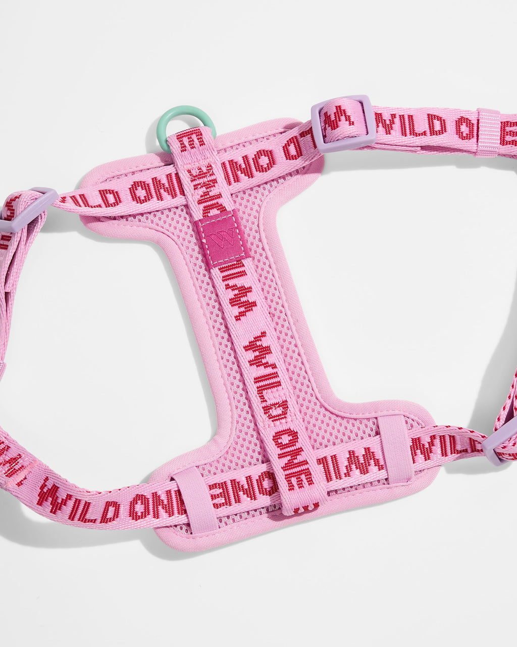 Step-In Dog Harness