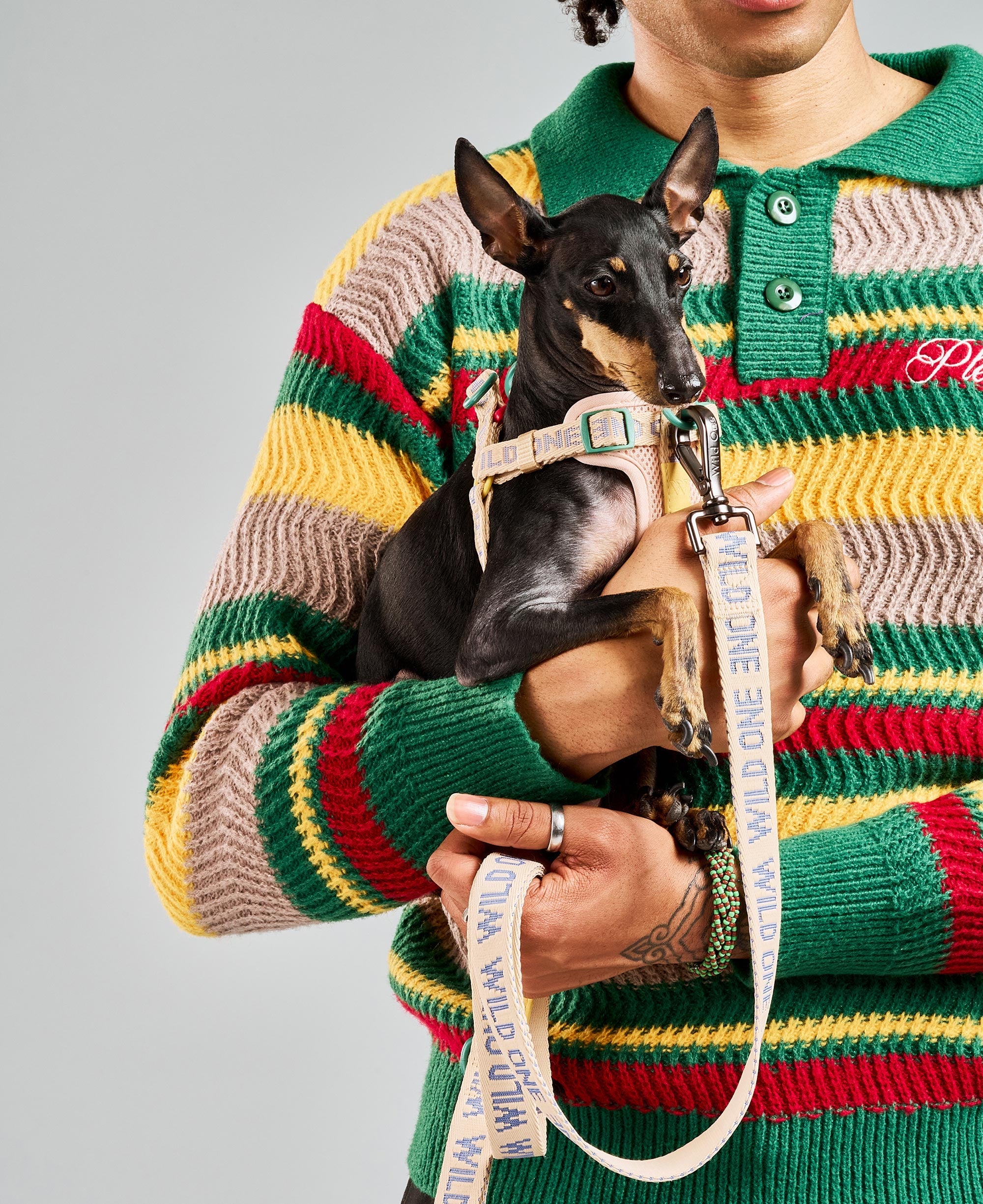 Lightweight Dog Leash