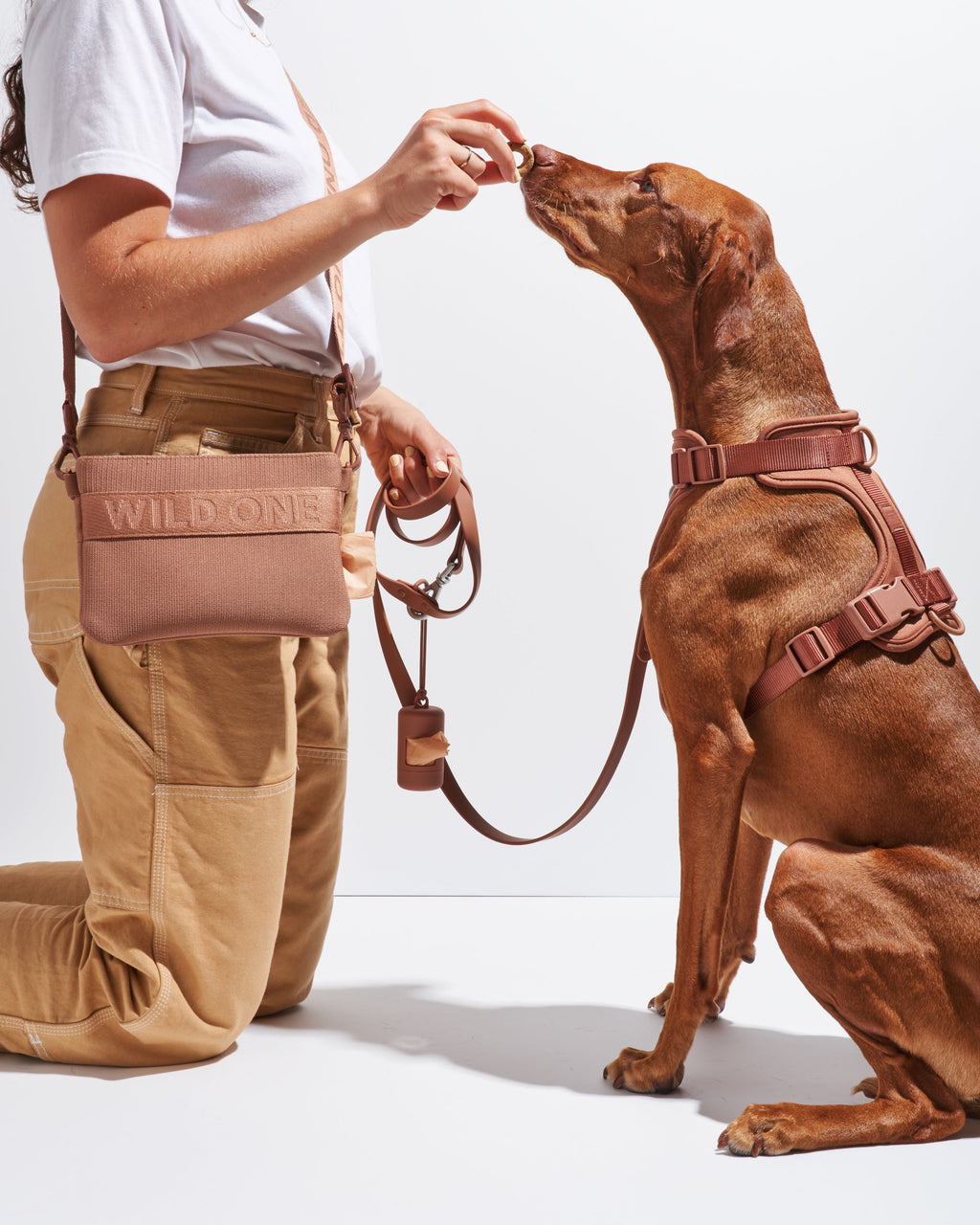 Treat Pouch