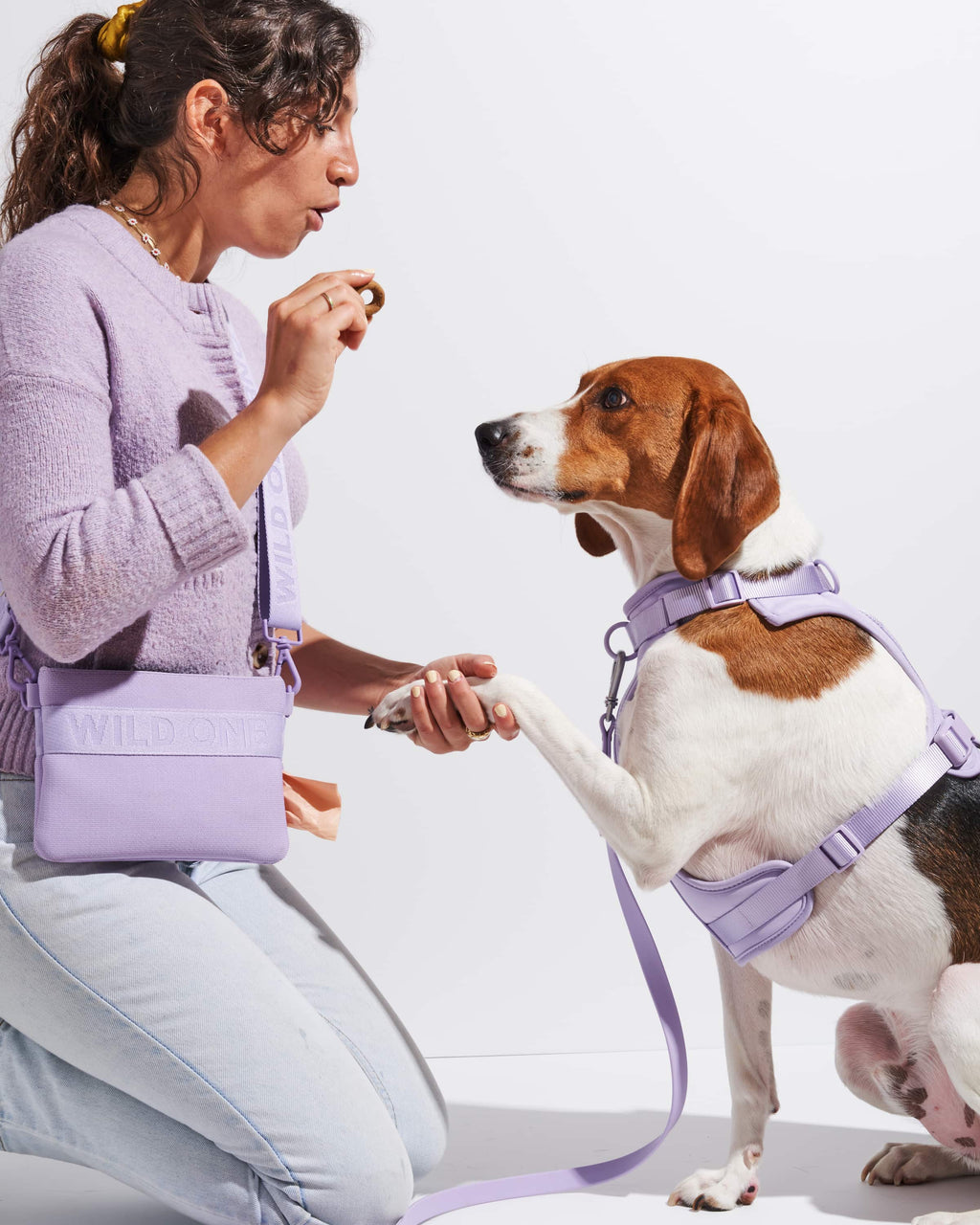 Treat Pouch