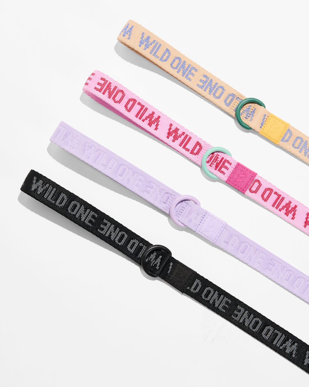 Quick-Release Collar + Lightweight Leash Walk Kit