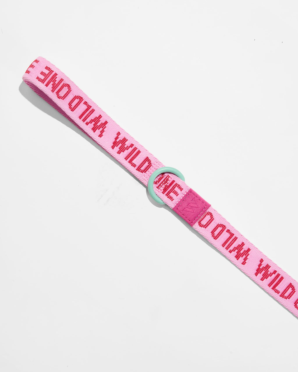 Lightweight Dog Leash