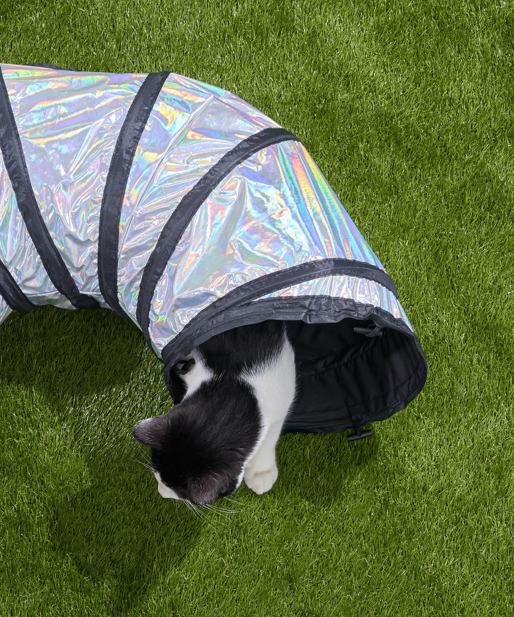Cat Tunnel